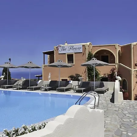 The Flower מלון 2*