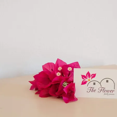 The Flower 2* Φοινικιά