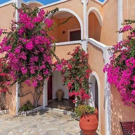 The Flower 2* Foinikiá