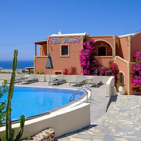 The Flower 호텔 2*