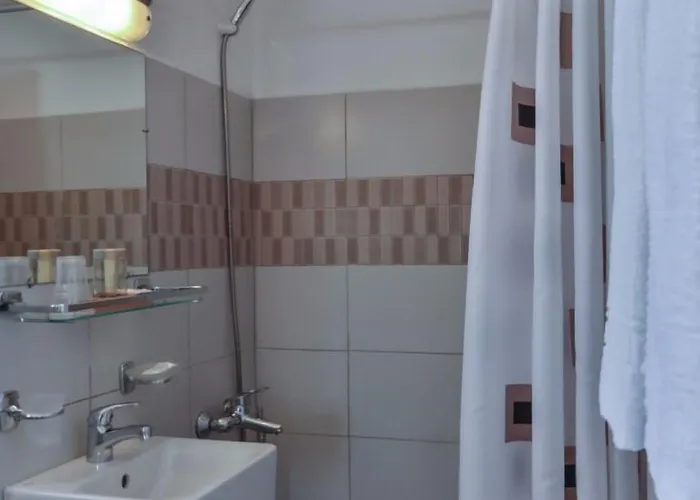 מלון The Flower 2*