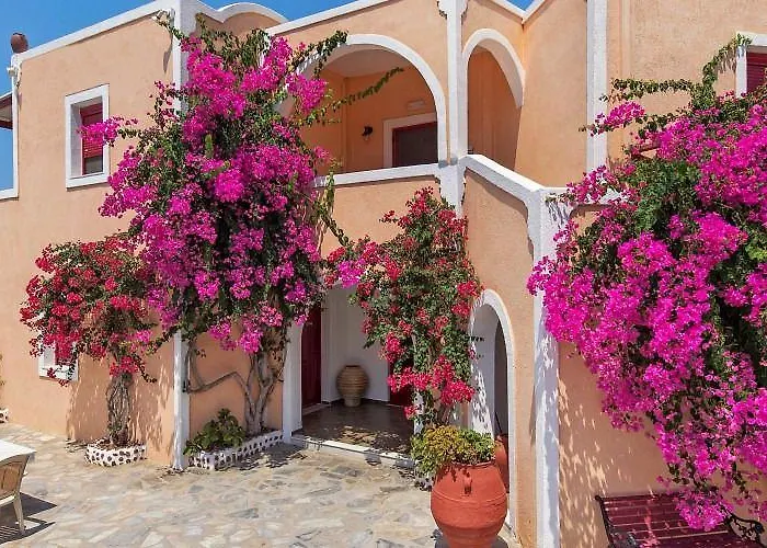 The Flower 2* Foinikiá